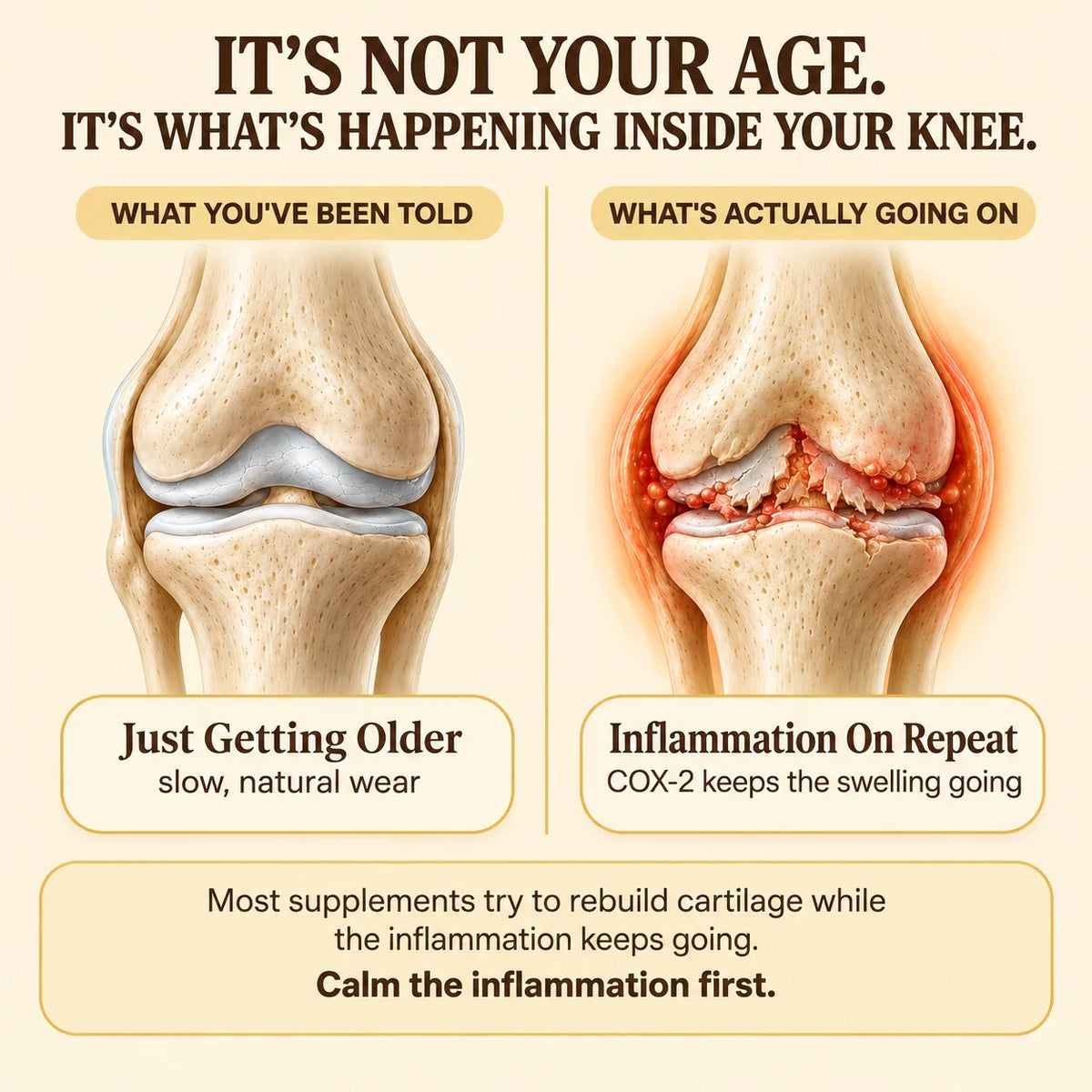 Oyla Aged Ginger Root Softgels