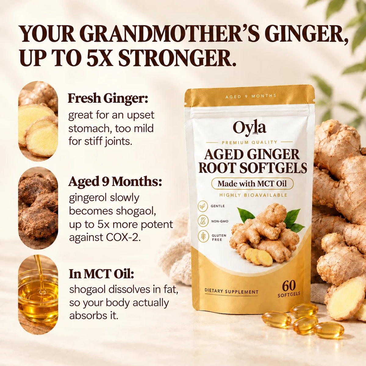 Oyla Aged Ginger Root Softgels